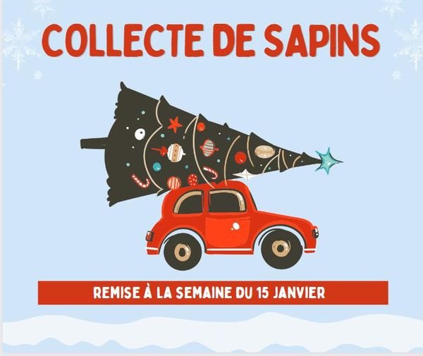 Collecte des sapins de noël