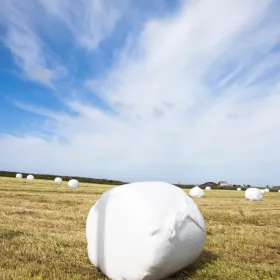 Plastiques agricoles